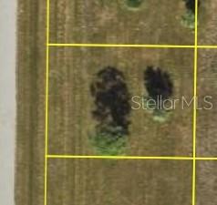 This is an aerial map view of a vacant, grassy lot with a few trees — 6 ELM DRIVE, PLACIDA, FL