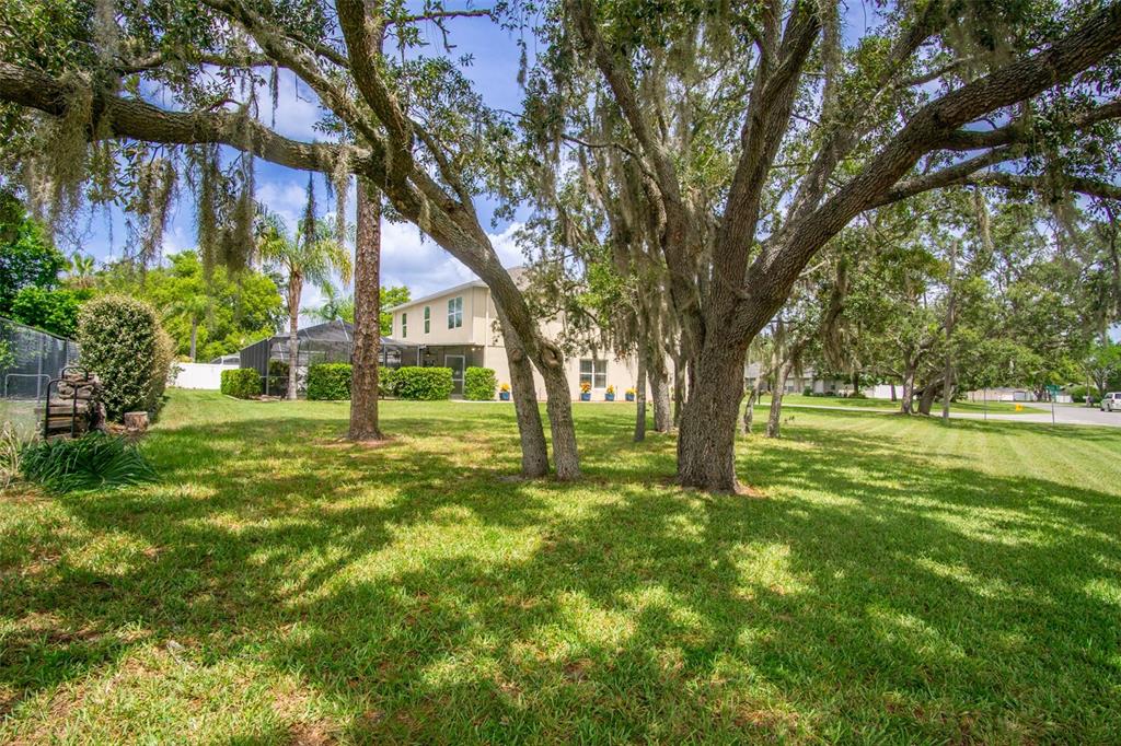 A large grassy backyard features mature oak trees with Spanish moss and a two-story house — 10446 AVILA STREET, SPRING HILL, FL