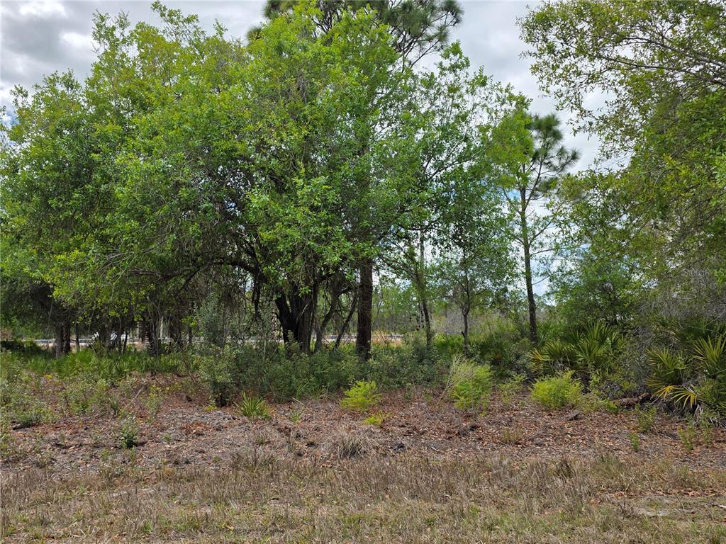 3337 SWANEE ROAD UNIT 23
