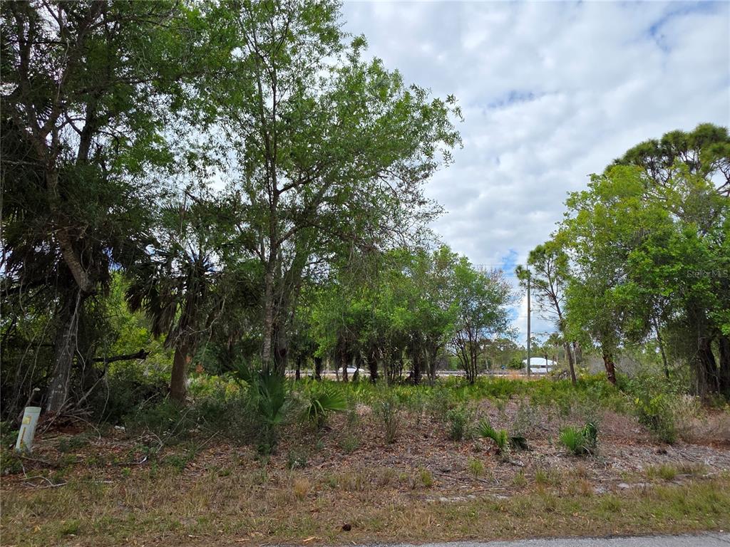 A wooded, undeveloped residential lot features various trees and low-lying vegetation under a cloudy sky — 3337 SWANEE ROAD UNIT 23, PUNTA GORDA, FL