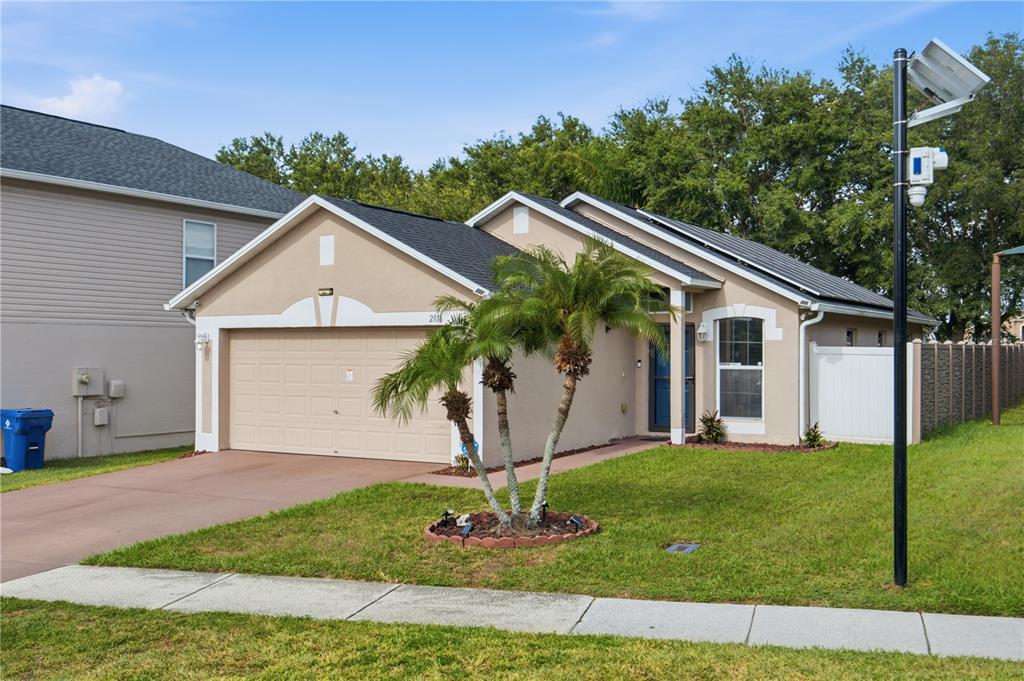 A single-story house with a tan stucco exterior, a two-car garage, and a palm tree — 2816 MINGO DRIVE, LAND O LAKES, FL