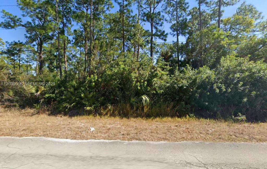 A vacant, wooded lot is bordered by a paved road and dense pine trees — 1010 Henry Ave, Lehigh Acres FL 33972, LEHIGH ACRES, FL
