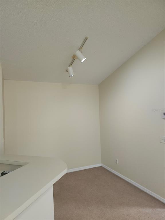 A small room with beige carpet, light-colored walls, and a two-light track fixture — 4518 COMMANDER DRIVE UNIT 1934, ORLANDO, FL