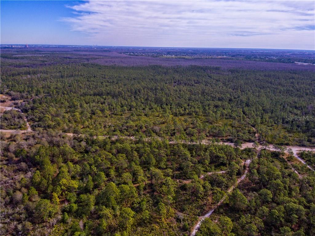 An aerial view shows a vast, wooded landscape with dirt paths winding through pine trees — INTERNATIONAL DRIVE, ORLANDO, FL