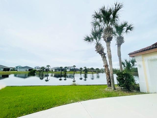 A view of a backyard lawn, a pond, palm trees, and neighboring houses — 30 SAN RAFAEL COURT, PALM COAST, FL