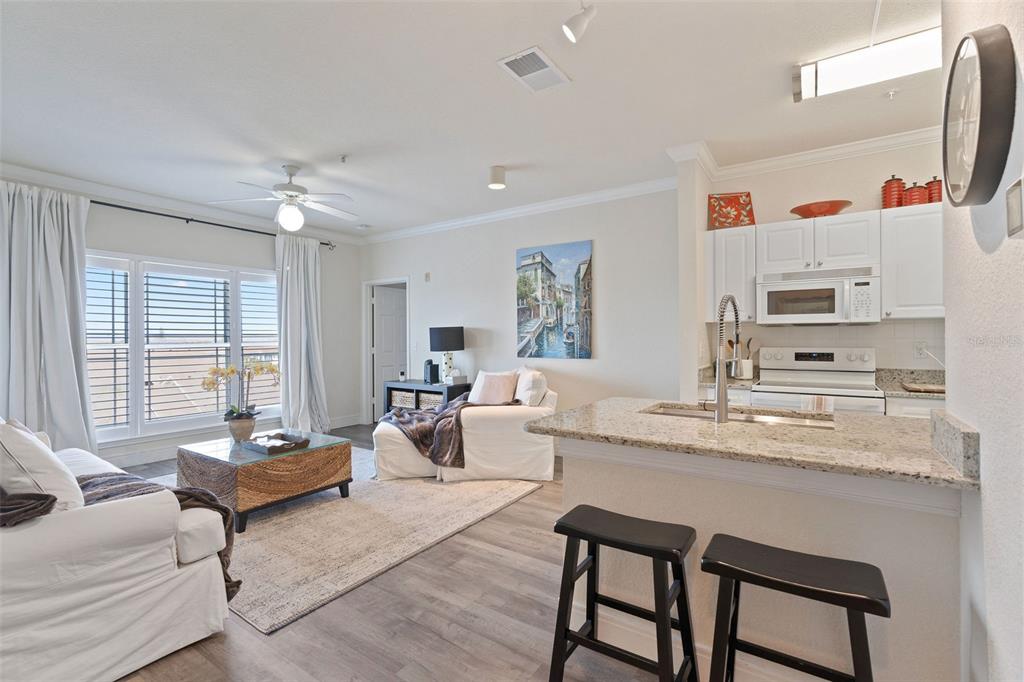 An open-concept living room and kitchen featuring white cabinetry, granite countertops, and light wood flooring — 1216 S MISSOURI AVENUE UNIT 419, CLEARWATER, FL