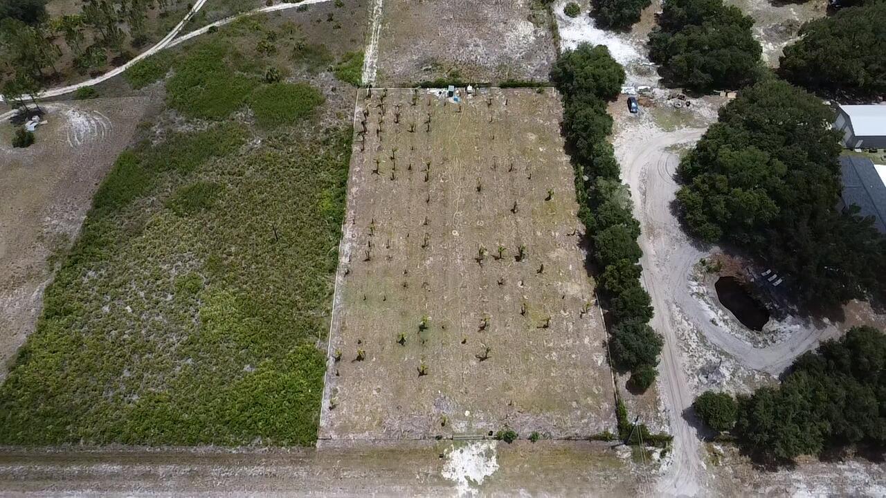 An aerial view shows a rectangular, cleared lot planted with small trees and sparse vegetation — 18282 NW 306th Street, Okeechobee FL 34972, OKEECHOBEE, FL