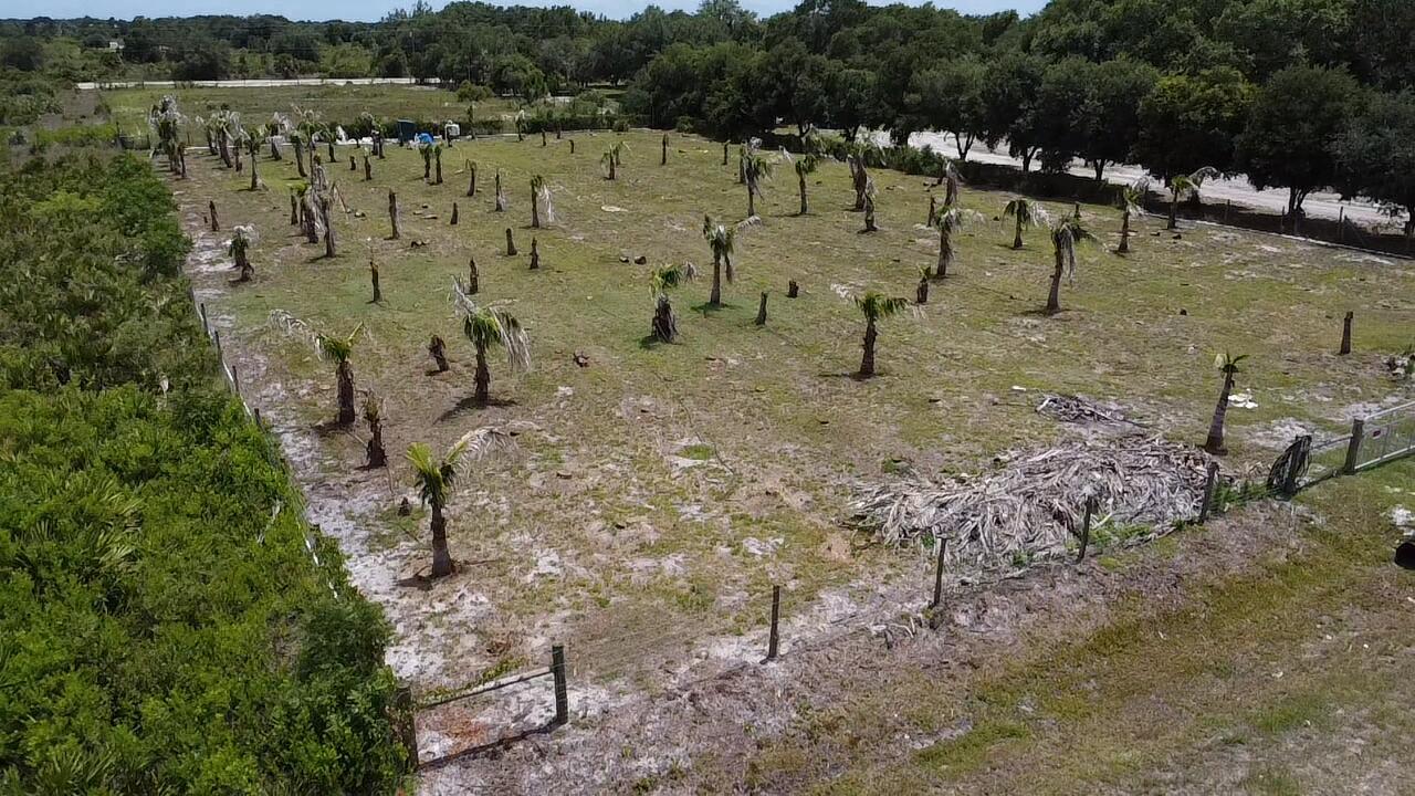 An aerial view of a fenced, grassy lot planted with numerous small palm trees — 18282 NW 306th Street, Okeechobee FL 34972, OKEECHOBEE, FL