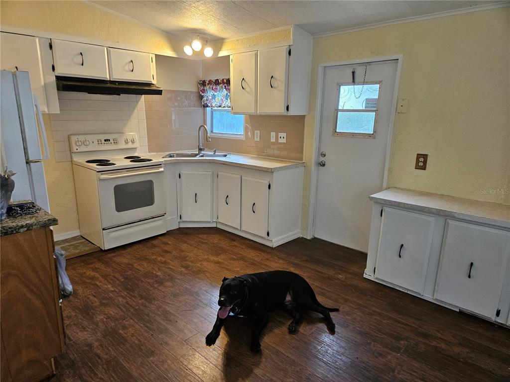A kitchen with white cabinets, a white stove, and a black dog on the floor — 472 BRYANT STREET, ORMOND BEACH, FL