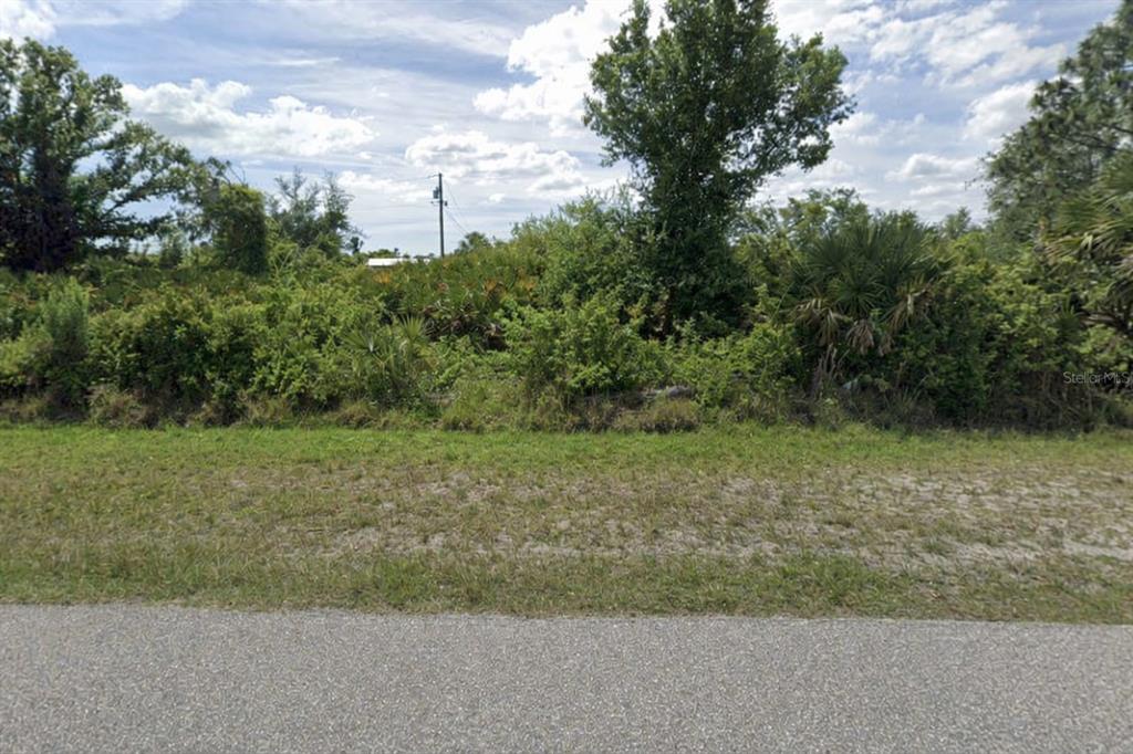 A vacant, overgrown lot with dense vegetation and trees sits behind a paved road — 5623 NORLANDER DRIVE, PORT CHARLOTTE, FL