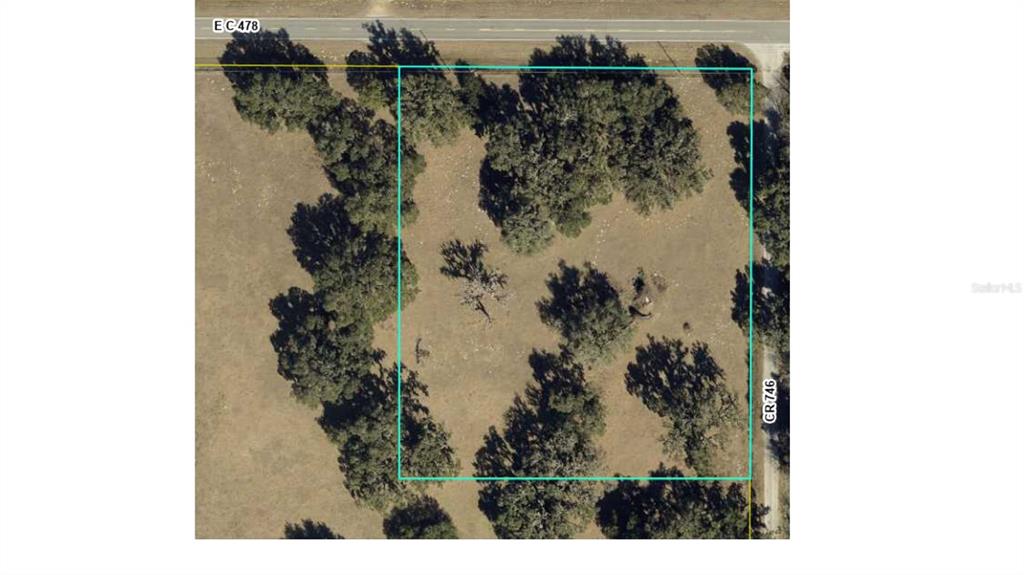 An aerial view shows a rectangular plot of land with scattered trees and road access — E C-478, WEBSTER, FL