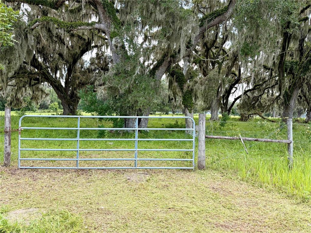 A metal farm gate stands in front of a grassy field with large, moss-covered trees — E C-478, WEBSTER, FL