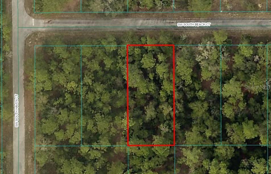 This is an aerial map view of a wooded rectangular lot outlined in red — Lot#11 SW SOUTH BEACH COURT, DUNNELLON, FL