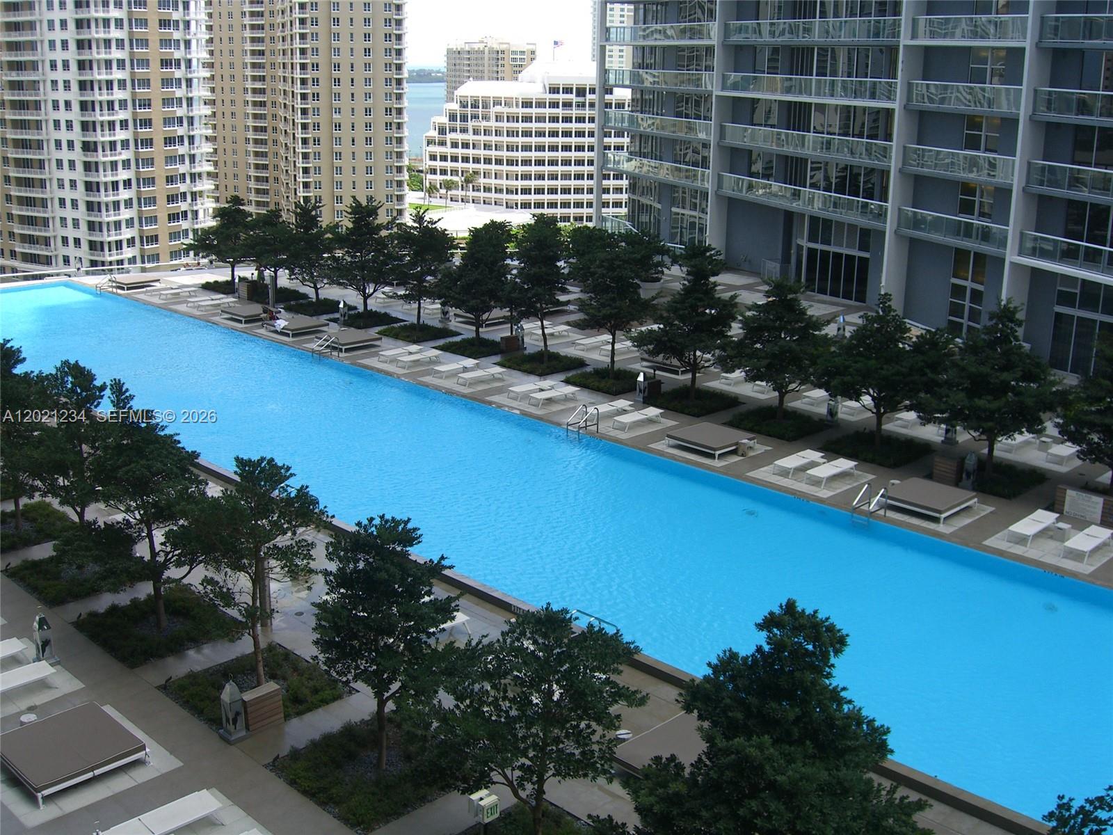 An elevated view of a long rectangular swimming pool surrounded by lounge chairs and trees — 475 Brickell Ave # 1813, Miami FL 33131, MIAMI, FL