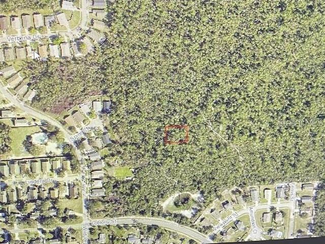 MORGAN PAPER ST, DELTONA, FL — photo 4 of 8