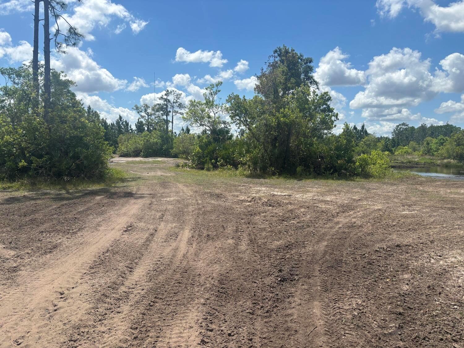A dirt path leads through a clearing with trees and a small pond under blue skies — 0 Holopaw Groves Road, FL 34772, FL
