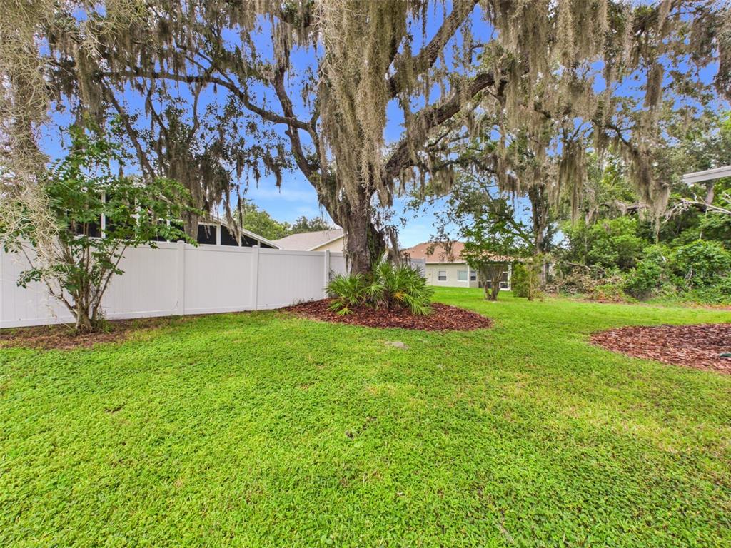 A large tree with Spanish moss stands in a grassy backyard with a white fence — 35601 WICKINGHAM COURT, ZEPHYRHILLS, FL