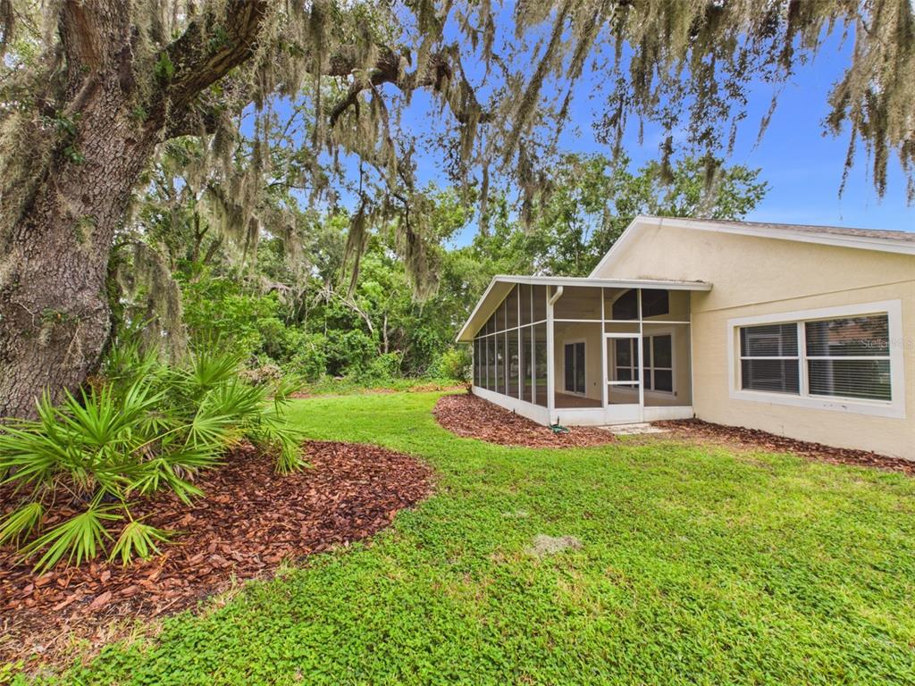 A screened-in porch is attached to the side of a house near a large tree — 35601 WICKINGHAM COURT, ZEPHYRHILLS, FL