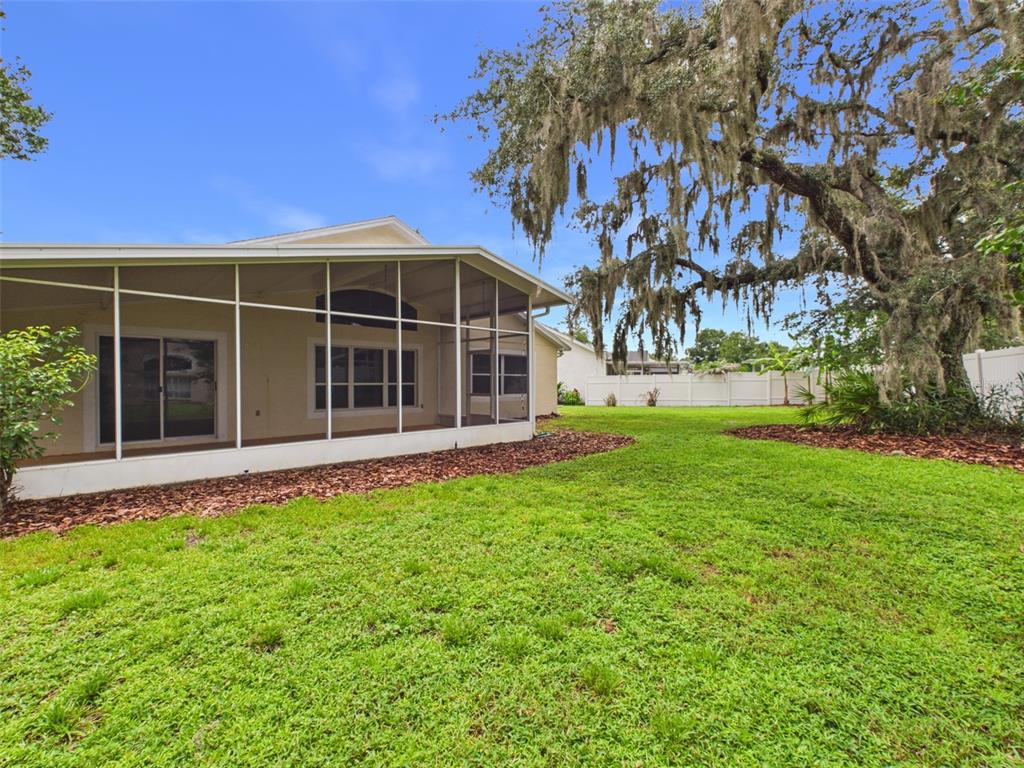 A screened-in patio overlooks a grassy backyard with a large moss-covered tree — 35601 WICKINGHAM COURT, ZEPHYRHILLS, FL