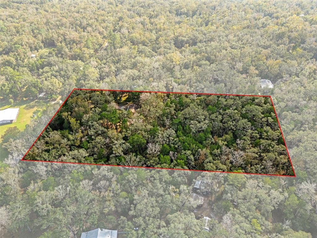 An aerial view shows a rectangular plot of land densely covered in trees — 12047 TIMBER LANE, BROOKSVILLE, FL