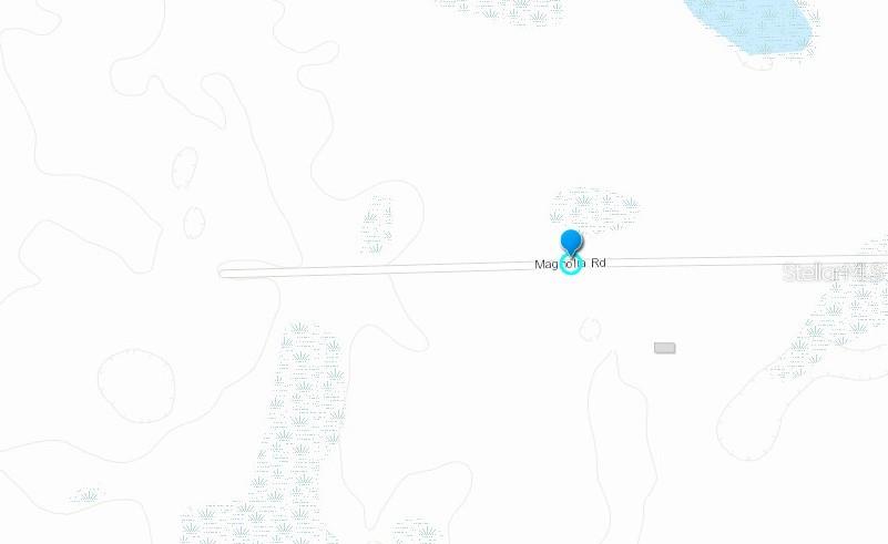 This is a map showing a location marker on Magnolia Road — MAGNOLIA ROAD, NEW SMYRNA BEACH, FL