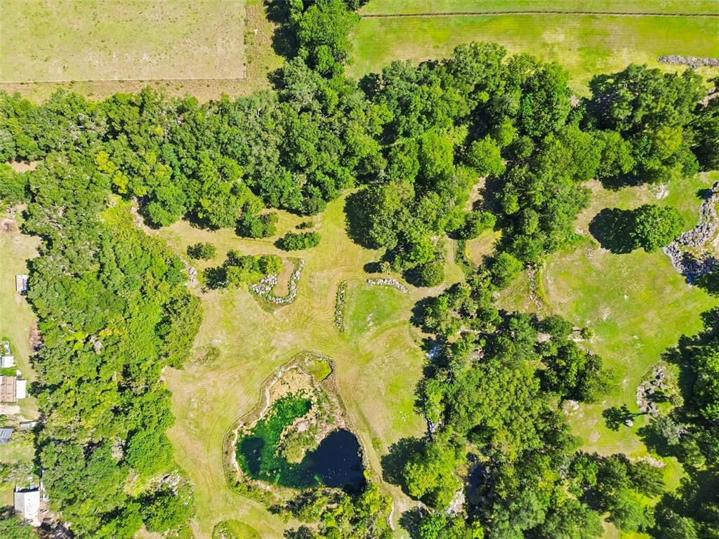 An aerial view shows a grassy field with a pond, scattered trees, and surrounding woods — 8800 S STEED TERRACE, FLORAL CITY, FL