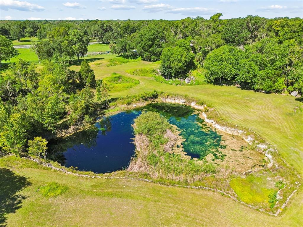 An aerial view shows a pond with a central island surrounded by grassy fields and trees — 8800 S STEED TERRACE, FLORAL CITY, FL