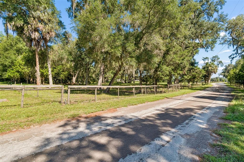 A paved road runs alongside a fenced, tree-lined grassy lot with Spanish moss — 8800 S STEED TERRACE, FLORAL CITY, FL