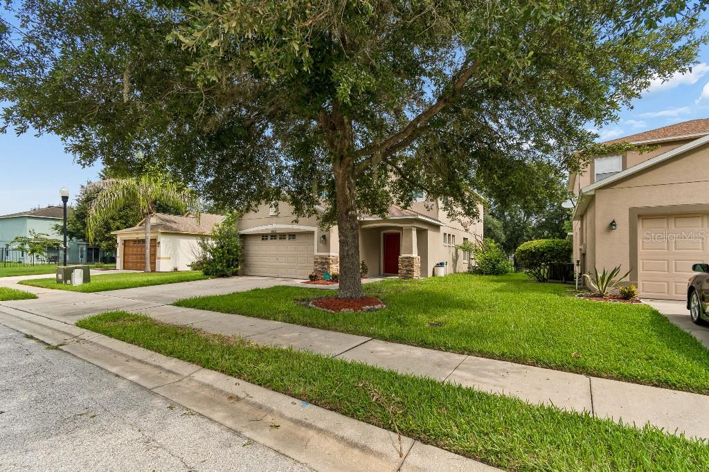 A two-story suburban house with a tan exterior, a two-car garage, and a large tree — 30737 WHITE BIRD AVENUE, WESLEY CHAPEL, FL