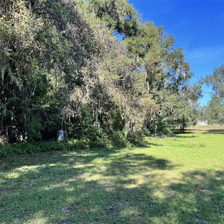 A grassy lot borders a dense line of mature trees with hanging Spanish moss — 4504 E COUNTY ROAD 540A, LAKELAND, FL