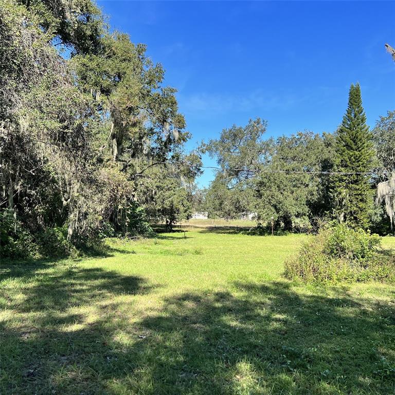 A grassy, open lot is surrounded by mature trees under a clear blue sky — 4504 E COUNTY ROAD 540A, LAKELAND, FL