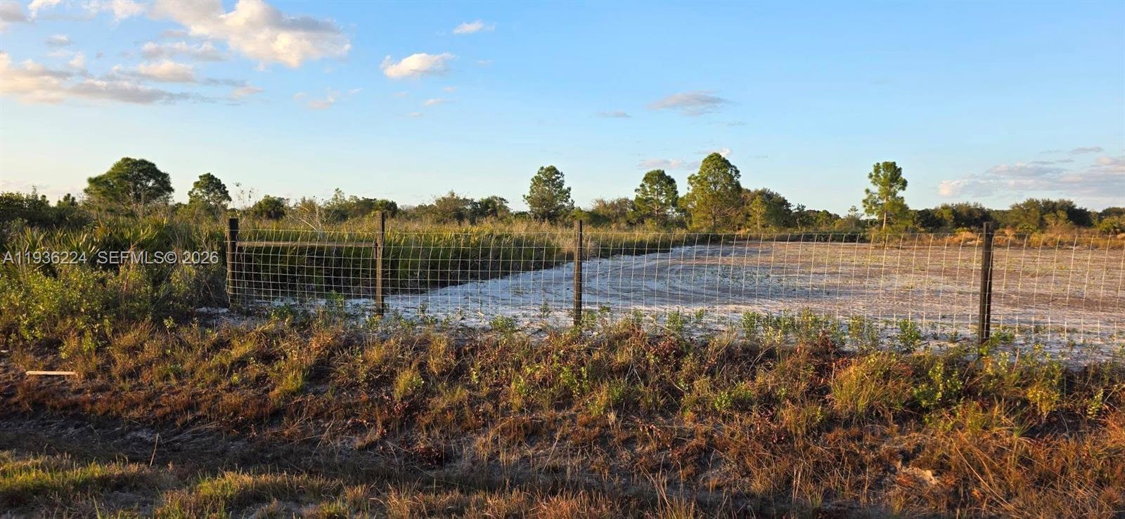 A wire fence encloses a sandy, cleared lot surrounded by trees and brush — 17385 NW 314 st, Okeechobee FL 34972, OKEECHOBEE, FL