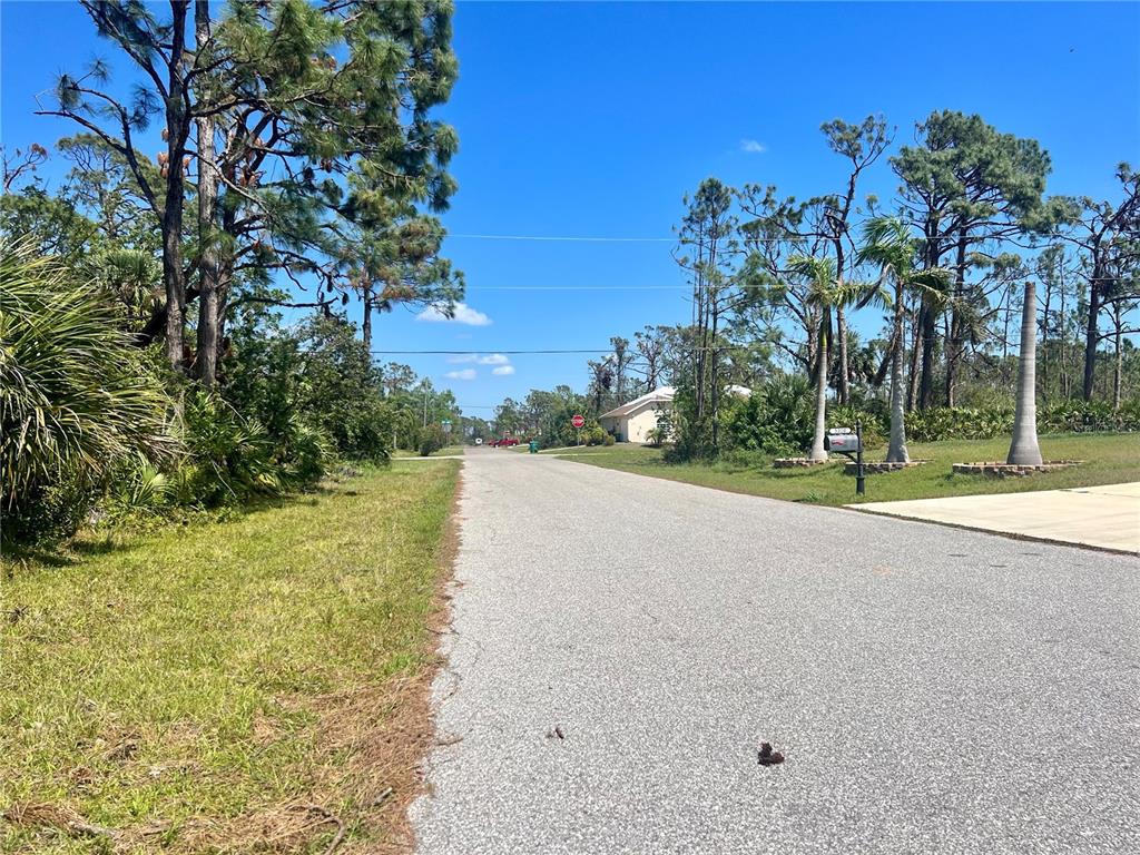 A paved residential street lined with pine trees and tropical vegetation under a clear sky — 5327 VENUS TERRACE, PORT CHARLOTTE, FL