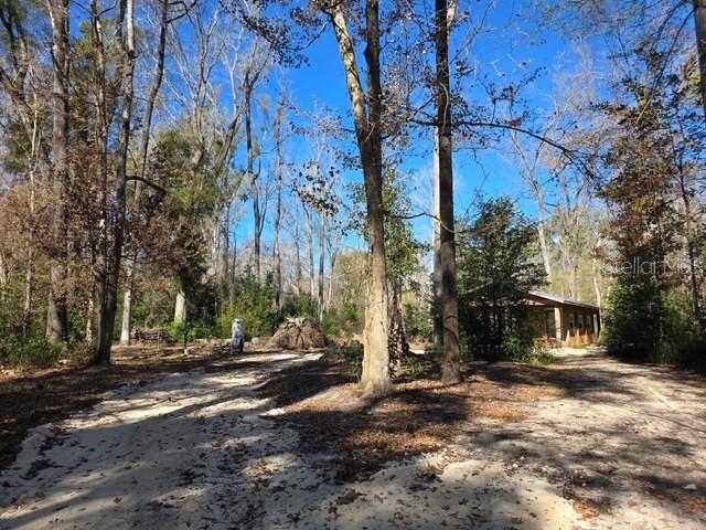 A dirt driveway leads toward a house nestled among many tall trees — 1187 SW BOSTON TERRACE, FORT WHITE, FL