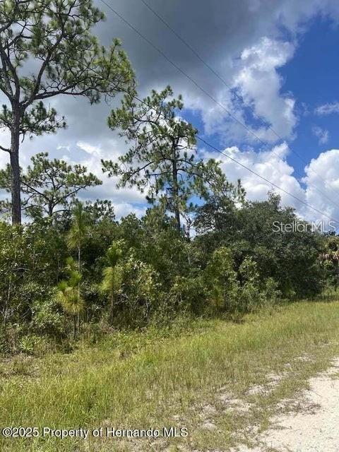 10194 YELLOW FROG AVENUE, WEEKI WACHEE, FL — photo 2 of 2