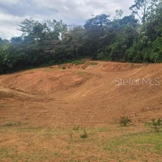 A sloped, cleared dirt lot is bordered by a dense line of trees — 842 CAIMITO UNIT 4.2 KM, SAN JUAN, PR