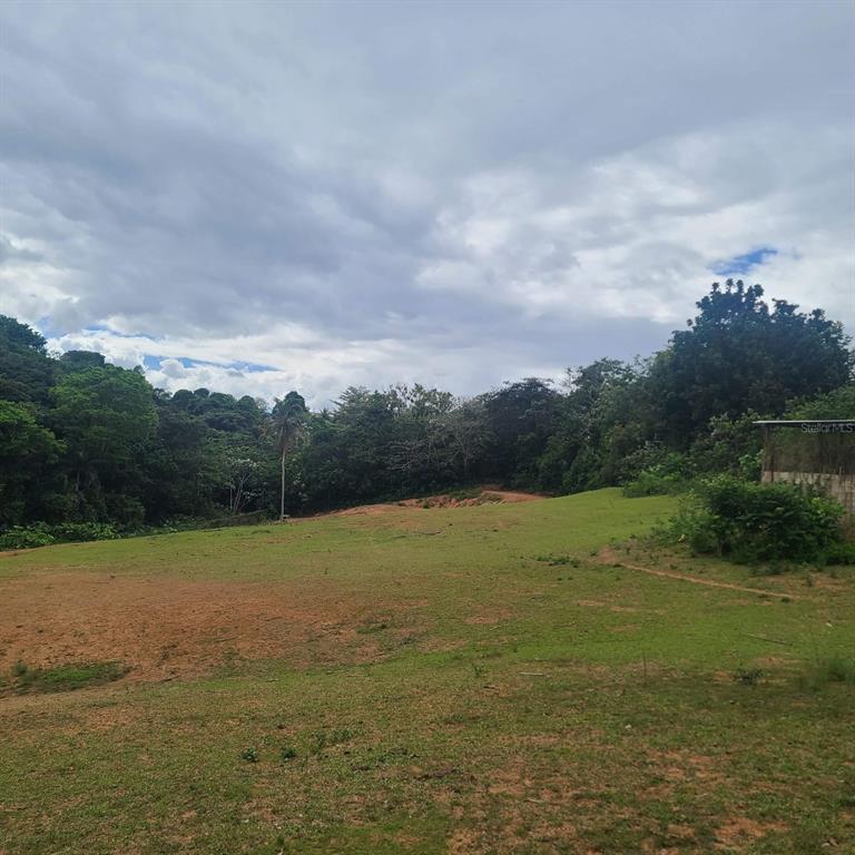 A grassy, partially cleared lot features a backdrop of dense trees under a cloudy sky — 842 CAIMITO UNIT 4.2 KM, SAN JUAN, PR