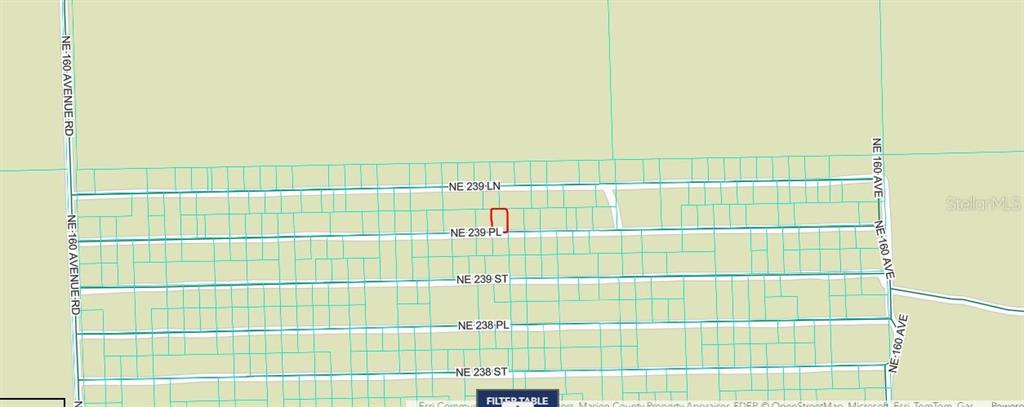 This is a map showing a highlighted parcel of land near NE 239 Place — NE 243RD PLACE RD, FORT MC COY, FL