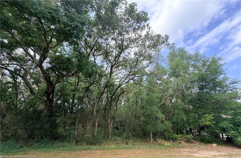 A dense cluster of mature trees and undergrowth stands behind a patch of bare ground — 1727 N BERKLEY ROAD, AVON PARK, FL