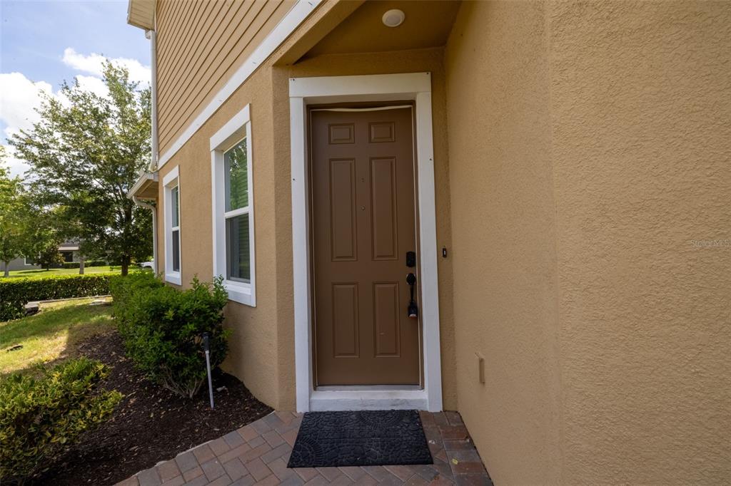 A brown front door with white trim is set into a tan stucco exterior wall — 5732 SPOTTED HARRIER WAY, LITHIA, FL