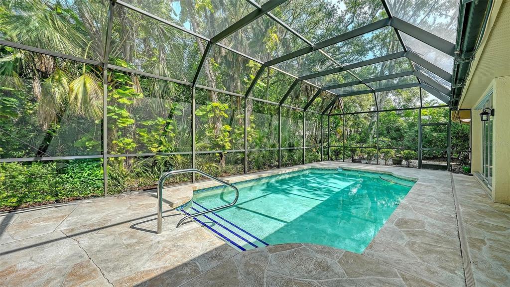A screened-in swimming pool with stone decking is surrounded by lush tropical vegetation — 2929 SANDRINGHAM PLACE, SARASOTA, FL