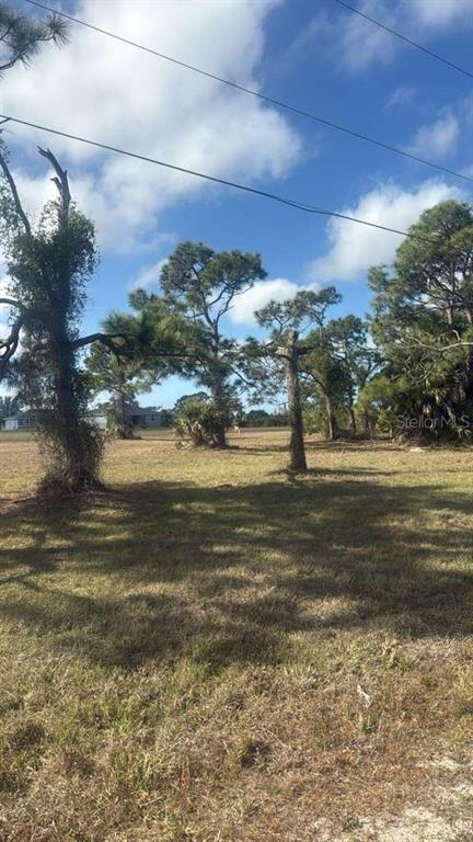 A grassy, vacant lot features several pine trees under a blue sky with scattered clouds — 19 CARLINE LANE, PLACIDA, FL