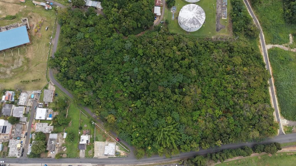 An aerial view shows a large, wooded plot of land bordered by roads and houses — 1 PR-686 KM 1.2, MANATI, PR