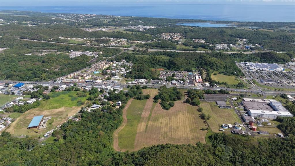 An aerial view shows a large, undeveloped grassy lot surrounded by trees, roads, and buildings — 1 PR-686 KM 1.2, MANATI, PR