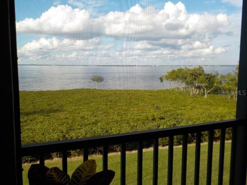 A view of a body of water and mangroves from a screened-in balcony — 91 VIVANTE BOULEVARD UNIT 9133, PUNTA GORDA, FL