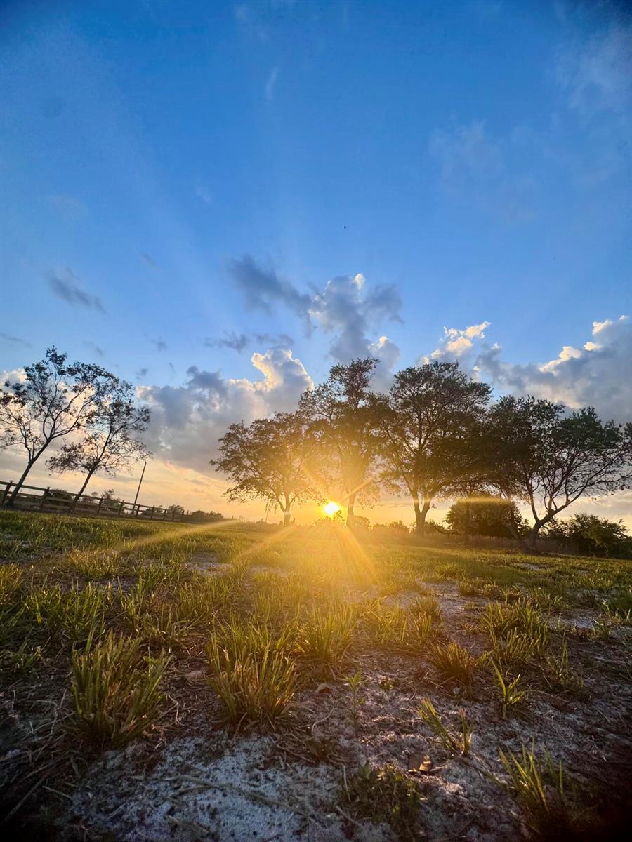 A low-angle view of a grassy field with trees silhouetted against a bright sunset — 14769 NW 244th Street, Okeechobee FL 34972, OKEECHOBEE, FL