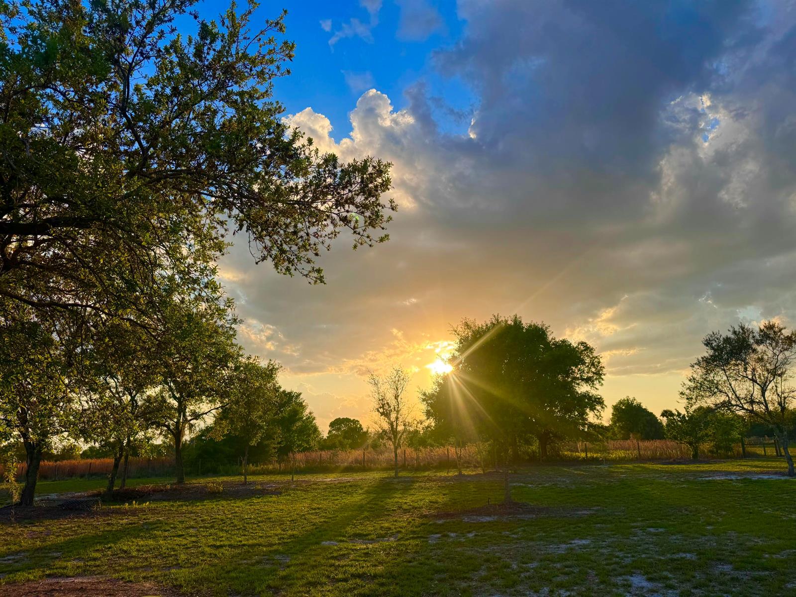 A sunlit grassy field with mature trees under a cloudy blue sky at sunset — 14769 NW 244th Street, Okeechobee FL 34972, OKEECHOBEE, FL
