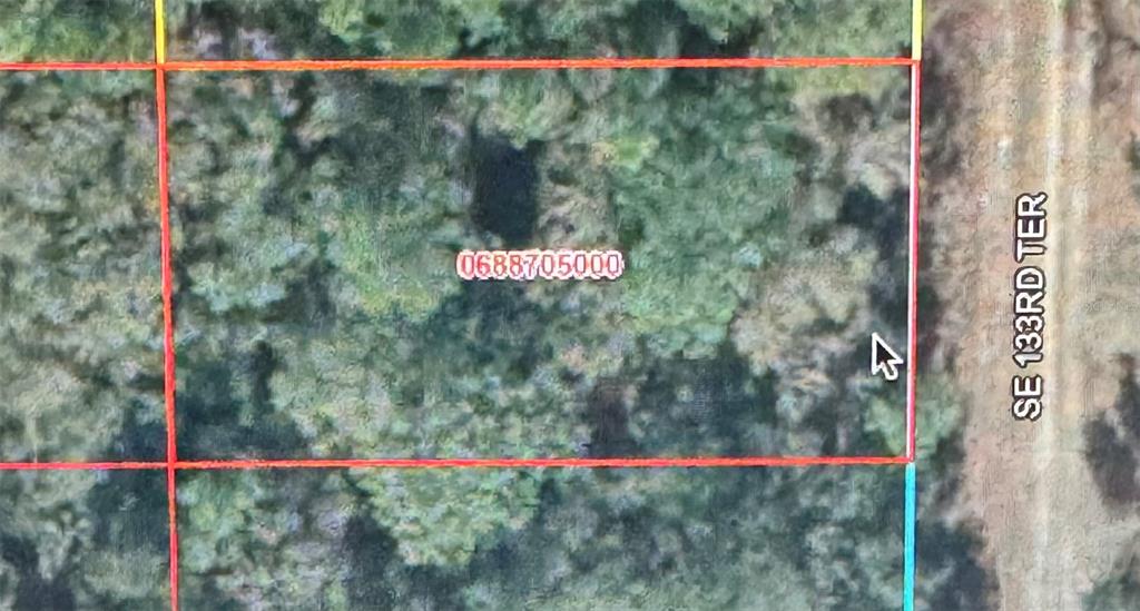 This is a satellite map view showing a rectangular plot of land bordering a road — SE 133RD TERRACE, DUNNELLON, FL
