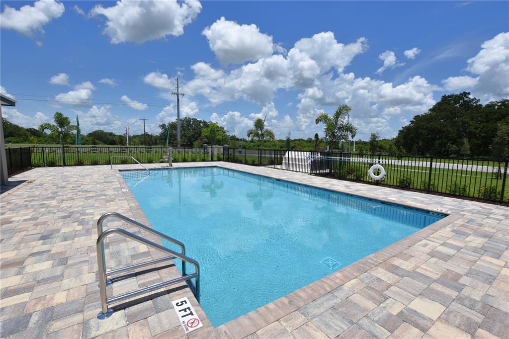 A rectangular swimming pool with a metal ladder sits on a paved patio outdoors — 3913 ACADEMIA AVENUE, LAKELAND, FL