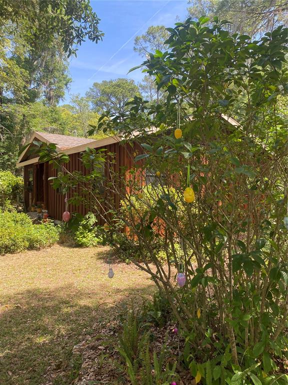 A wooden cabin sits in a wooded yard with decorative Easter eggs hanging from a bush — 1231 NE 9TH STREET W, GAINESVILLE, FL